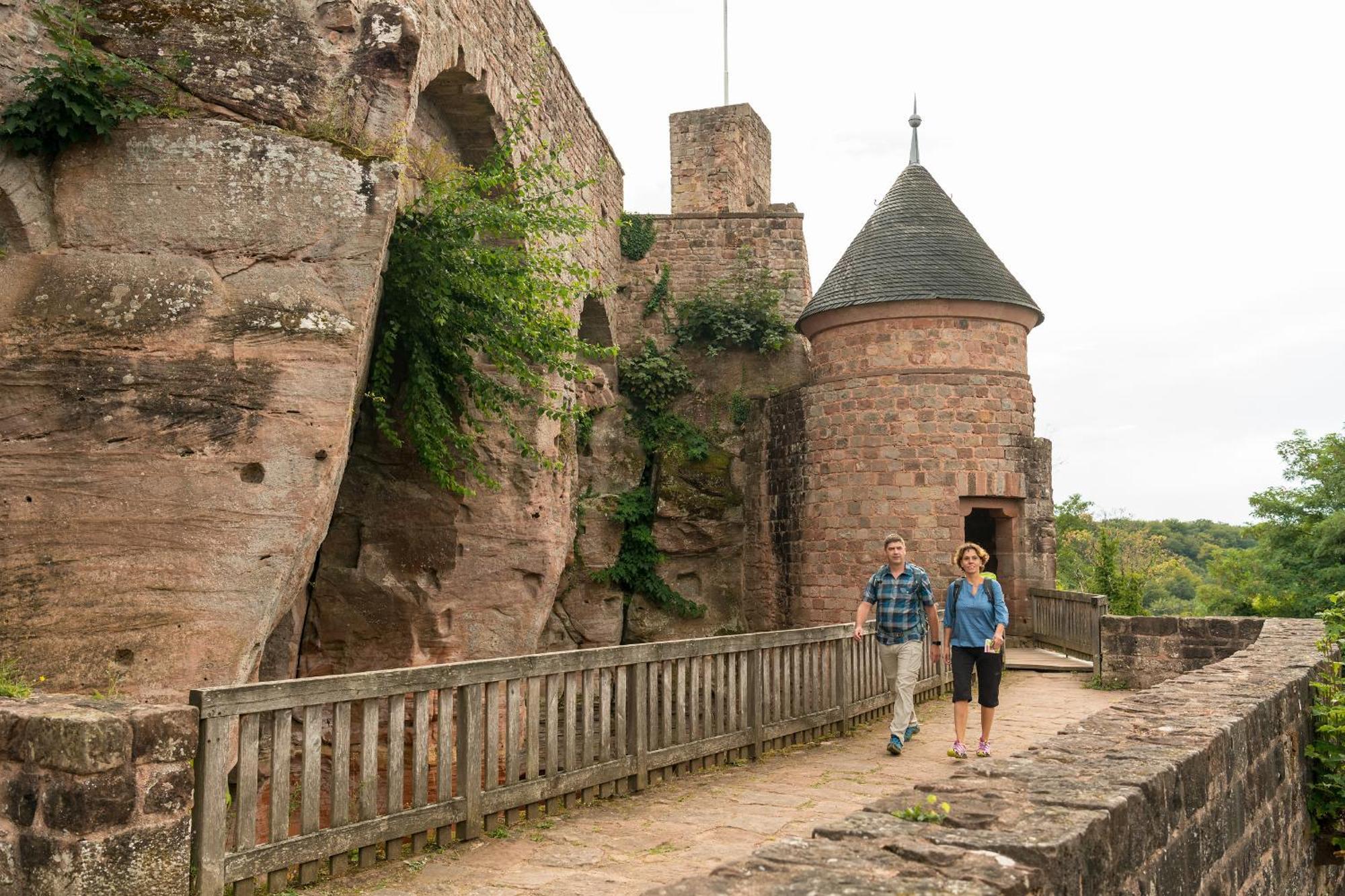 Ferienhaus Storchenblick Bann Dış mekan fotoğraf